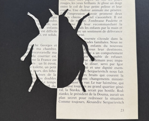 25-10_Jobshadowing Saône_IMG_0030